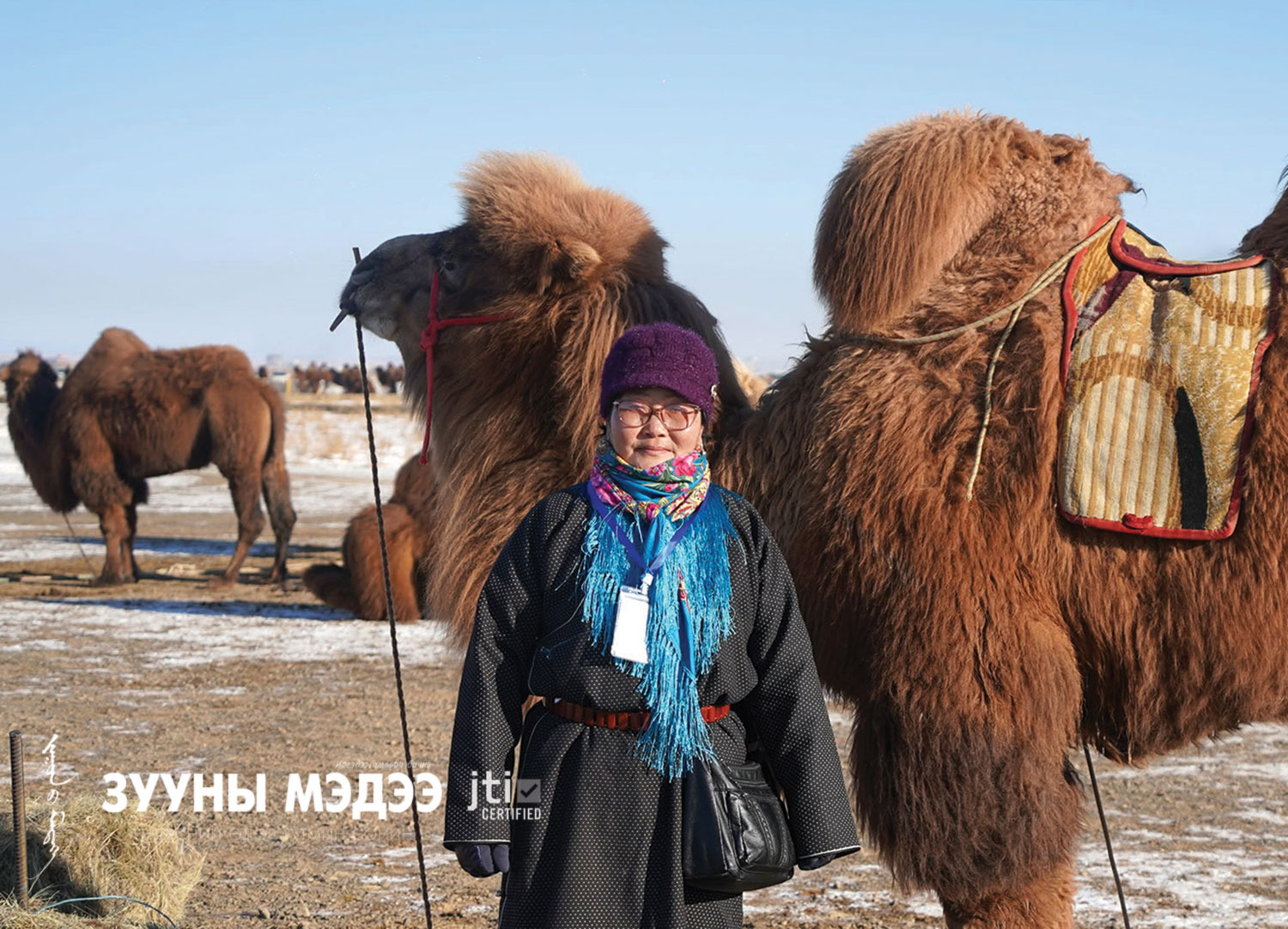 Дөрвөн үеийн удам дамжсан тэмээн сүргийн эзэд